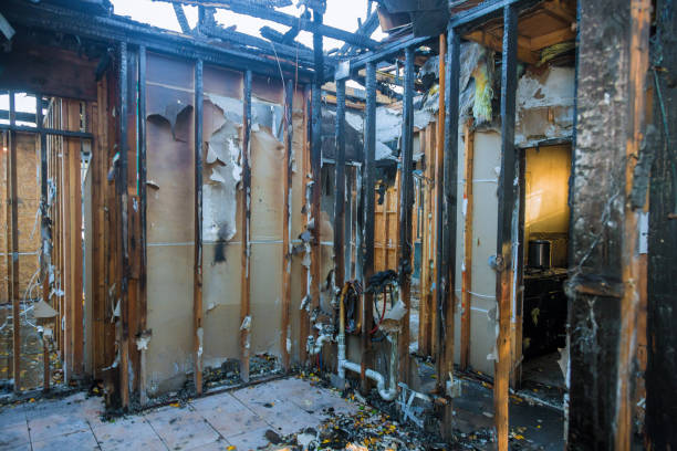 Professional Smoke Damage Restoration technician working in Sarasota, FL